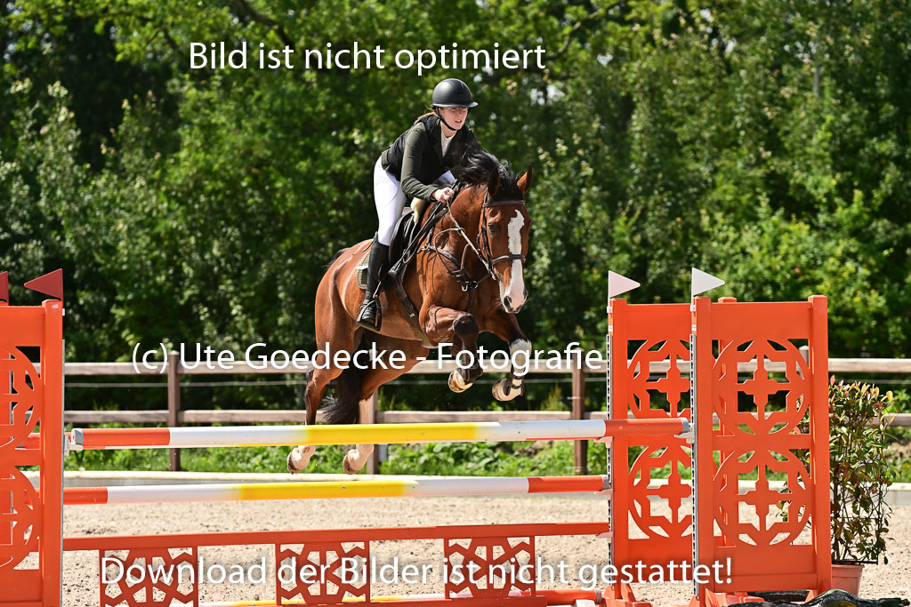Klein Offenseth  - Hengststation Hell | 26072025 M+ Springen _114 