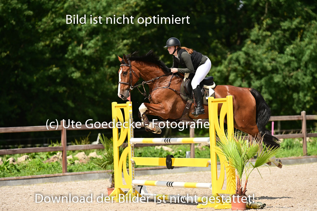 Klein Offenseth  - Hengststation Hell | 26072025 M+ Springen _115 