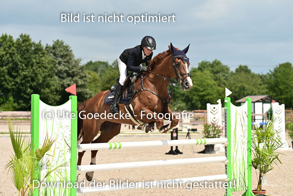 Klein Offenseth  - Hengststation Hell | 26072025 M+ Springen _121 