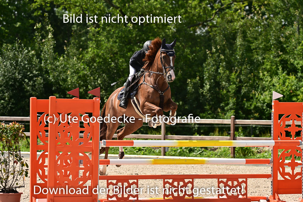 Klein Offenseth  - Hengststation Hell | 26072025 M+ Springen _122 