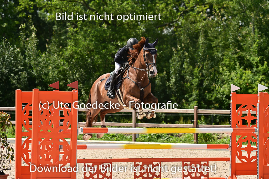 Klein Offenseth  - Hengststation Hell | 26072025 M+ Springen _123 