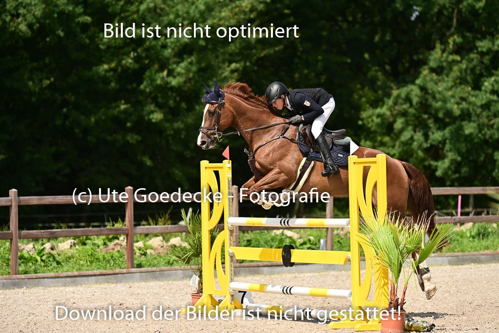 Klein Offenseth  - Hengststation Hell | 26072025 M+ Springen _126 