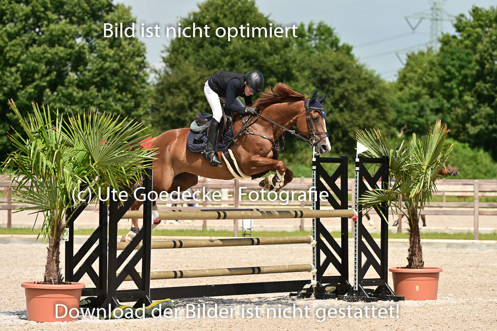 Klein Offenseth  - Hengststation Hell | 26072025 M+ Springen _128 