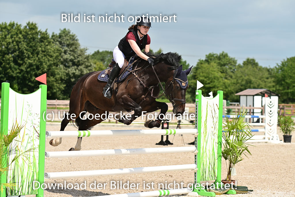 Klein Offenseth - Hengststation Hell | 26072025 M+ Springen _130