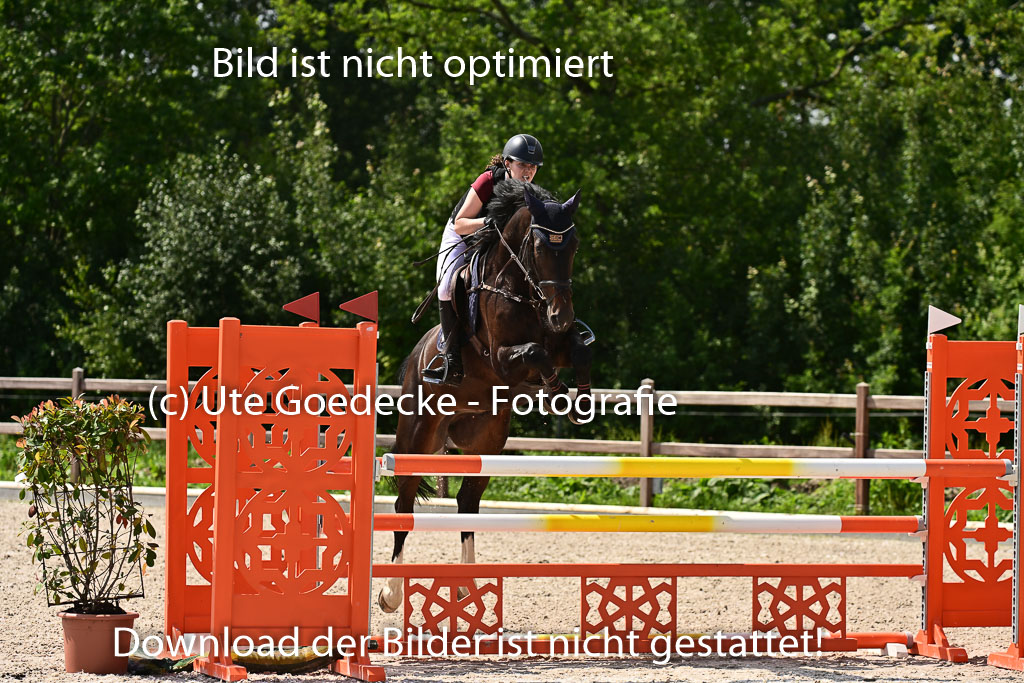 Klein Offenseth  - Hengststation Hell | 26072025 M+ Springen _131 