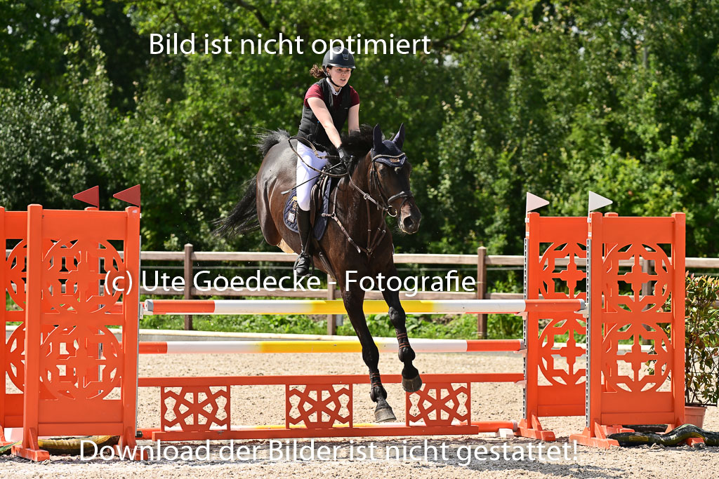 Klein Offenseth  - Hengststation Hell | 26072025 M+ Springen _133 