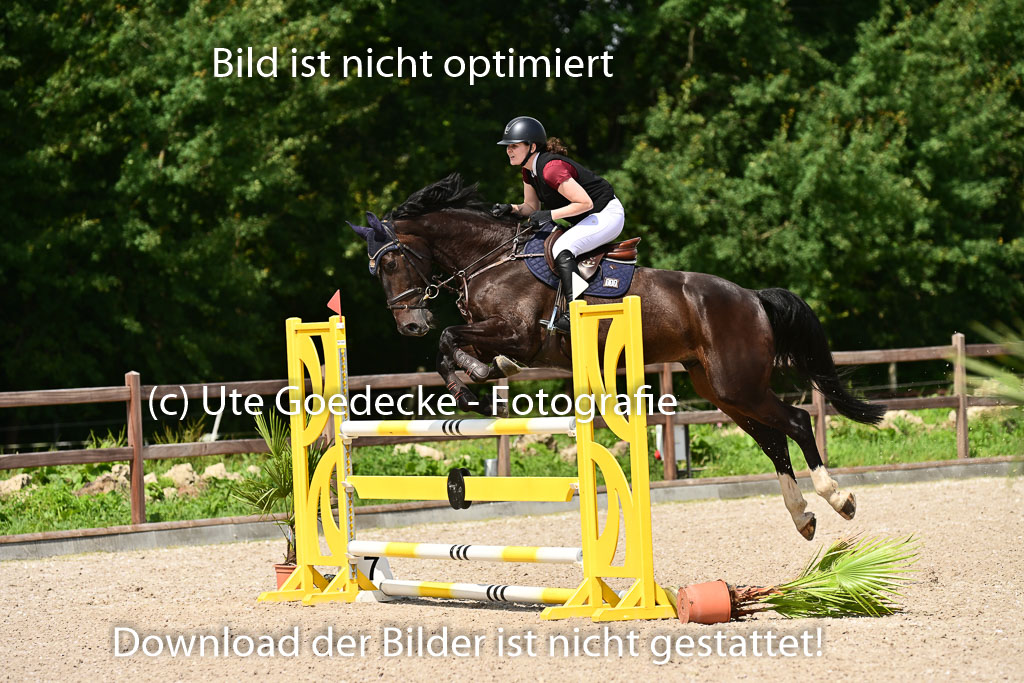 Klein Offenseth  - Hengststation Hell | 26072025 M+ Springen _134 