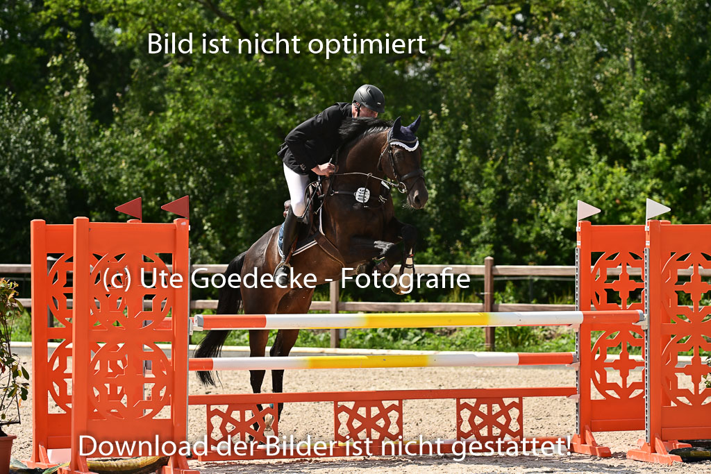 Klein Offenseth  - Hengststation Hell | 26072025 M+ Springen _140 