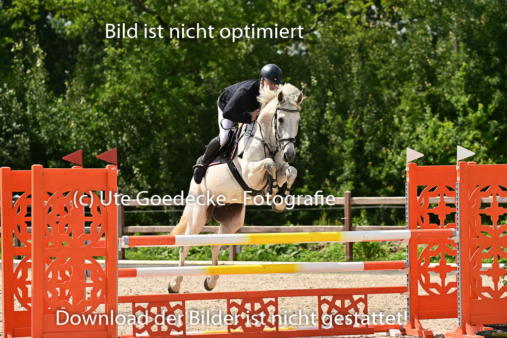 Klein Offenseth - Hengststation Hell | 26072025 M+ Springen _149