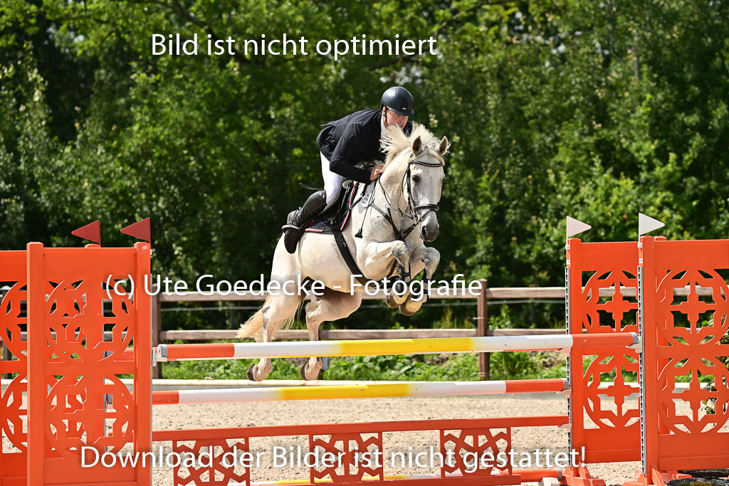 Klein Offenseth  - Hengststation Hell | 26072025 M+ Springen _150 
