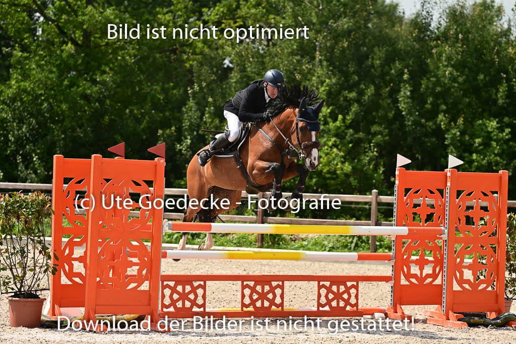Klein Offenseth  - Hengststation Hell | 26072025 M+ Springen _155 