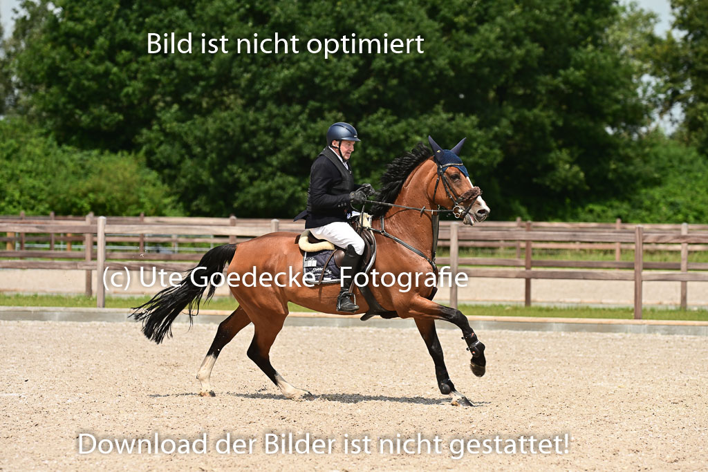 Klein Offenseth  - Hengststation Hell | 26072025 M+ Springen _157 