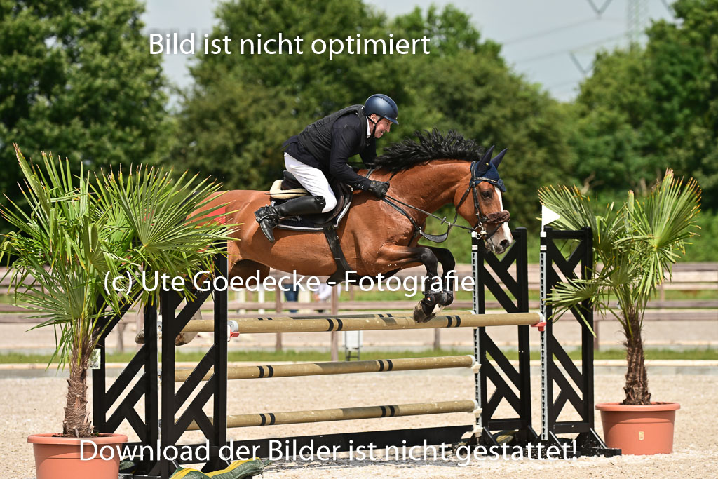 Klein Offenseth  - Hengststation Hell | 26072025 M+ Springen _158 