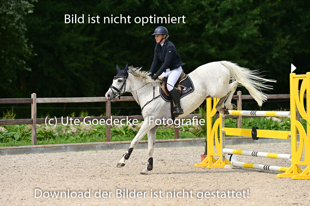 Klein Offenseth  - Hengststation Hell | 26072025 M+ Springen _163 