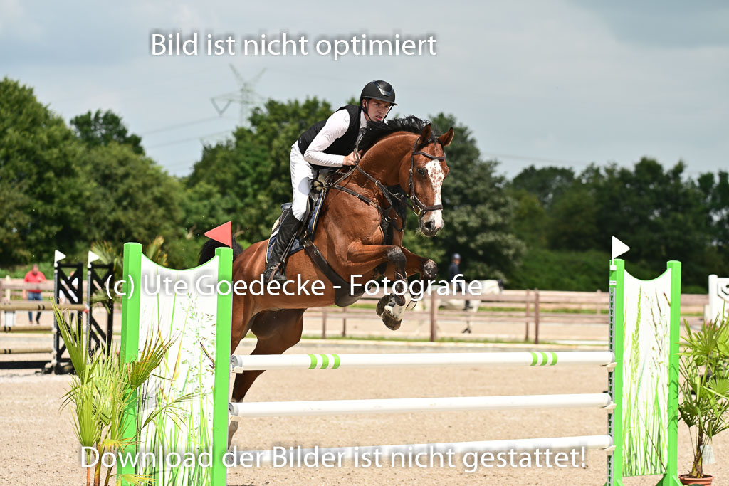 Klein Offenseth  - Hengststation Hell | 26072025 M+ Springen _166 