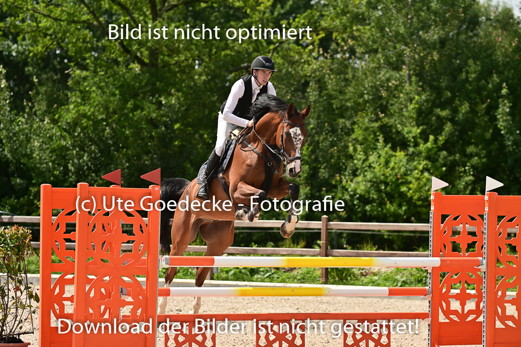 Klein Offenseth  - Hengststation Hell | 26072025 M+ Springen _168 