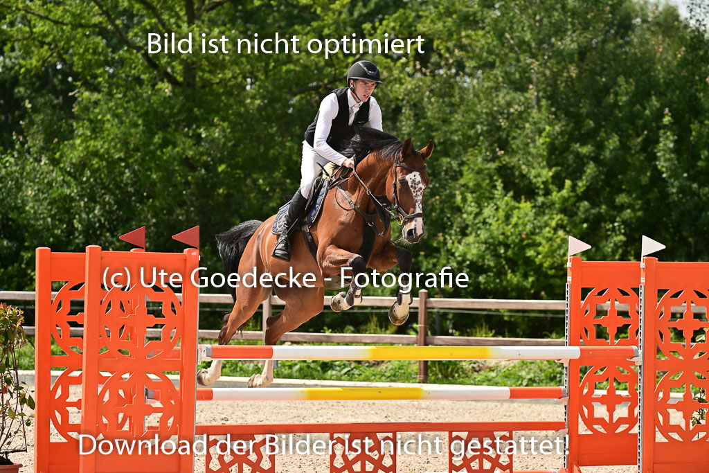 Klein Offenseth  - Hengststation Hell | 26072025 M+ Springen _169 