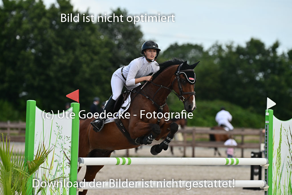 Klein Offenseth  - Hengststation Hell | 26072025 M+ Springen 