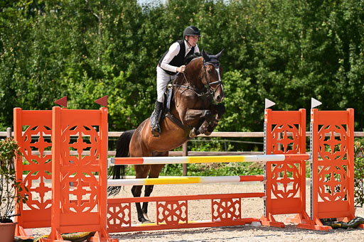 Klein Offenseth  - Hengststation Hell | 26072025 M+ Springen _025 