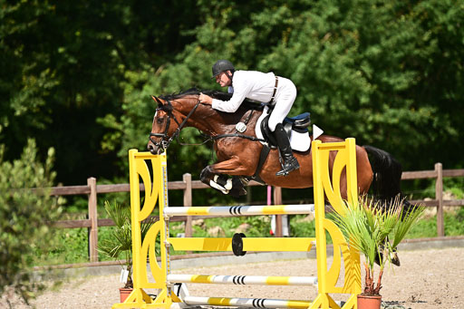 Klein Offenseth  - Hengststation Hell | 26072025 M+ Springen _033 