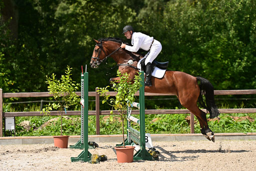 Klein Offenseth  - Hengststation Hell | 26072025 M+ Springen _034 