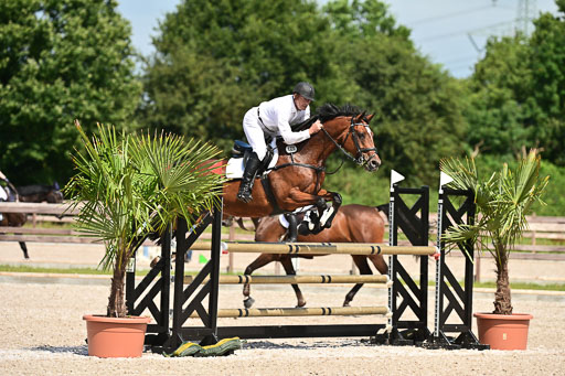 Klein Offenseth  - Hengststation Hell | 26072025 M+ Springen _037 