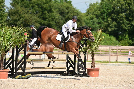 Klein Offenseth  - Hengststation Hell | 26072025 M+ Springen _038 