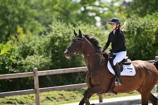 Klein Offenseth  - Hengststation Hell | 26072025 M+ Springen _039 