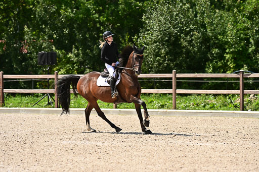 Klein Offenseth  - Hengststation Hell | 26072025 M+ Springen _042 