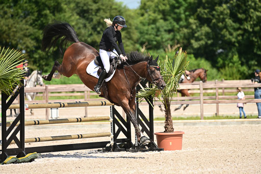 Klein Offenseth  - Hengststation Hell | 26072025 M+ Springen _046 