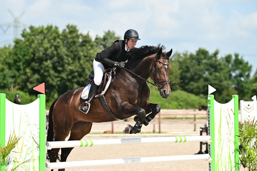 Klein Offenseth  - Hengststation Hell | 26072025 M+ Springen _049 