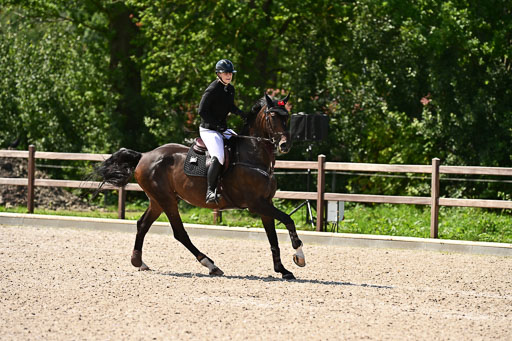 Klein Offenseth  - Hengststation Hell | 26072025 M+ Springen _058 