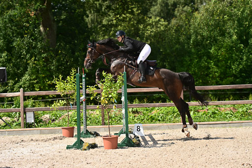 Klein Offenseth  - Hengststation Hell | 26072025 M+ Springen _061 