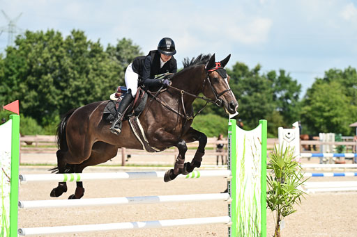 Klein Offenseth  - Hengststation Hell | 26072025 M+ Springen _066 