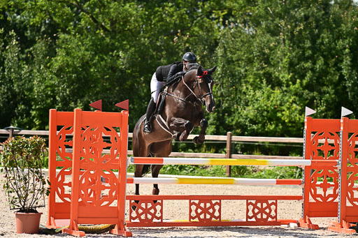 Klein Offenseth  - Hengststation Hell | 26072025 M+ Springen _067 