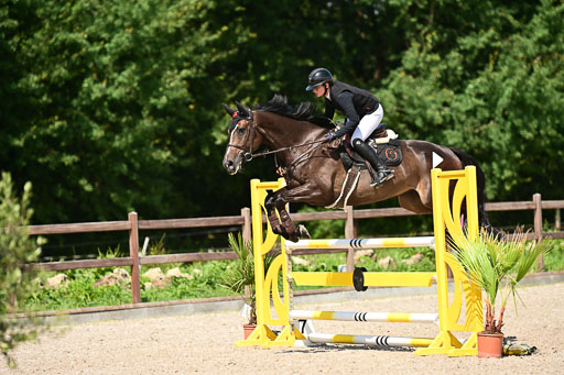 Klein Offenseth  - Hengststation Hell | 26072025 M+ Springen _069 