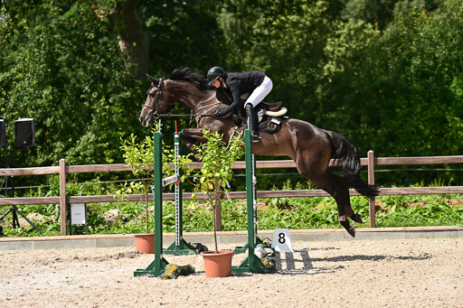 Klein Offenseth  - Hengststation Hell | 26072025 M+ Springen _070 