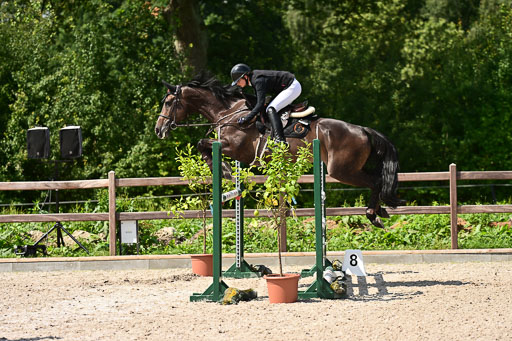 Klein Offenseth  - Hengststation Hell | 26072025 M+ Springen _071 