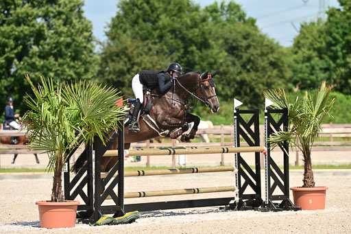 Klein Offenseth  - Hengststation Hell | 26072025 M+ Springen _073 