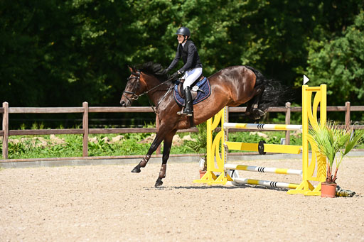 Klein Offenseth  - Hengststation Hell | 26072025 M+ Springen _077 
