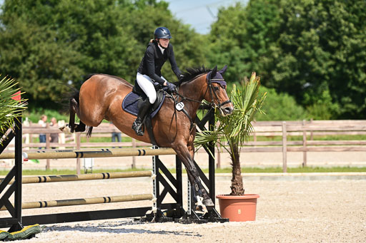 Klein Offenseth  - Hengststation Hell | 26072025 M+ Springen _082 