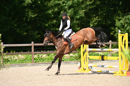 Klein Offenseth  - Hengststation Hell | 26072025 M+ Springen _086 