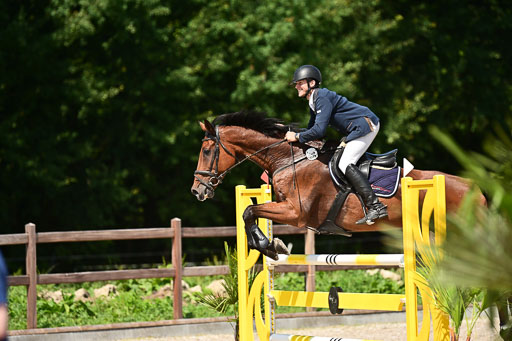 Klein Offenseth  - Hengststation Hell | 26072025 M+ Springen _091 