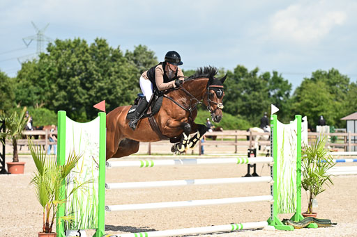 Klein Offenseth  - Hengststation Hell | 26072025 M+ Springen _093 