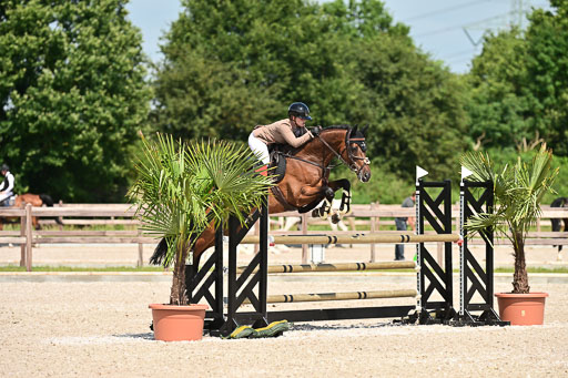 Klein Offenseth  - Hengststation Hell | 26072025 M+ Springen _097 