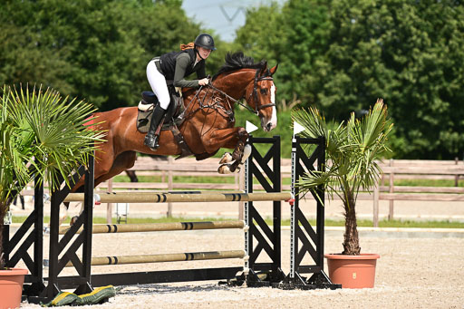 Klein Offenseth  - Hengststation Hell | 26072025 M+ Springen _117 