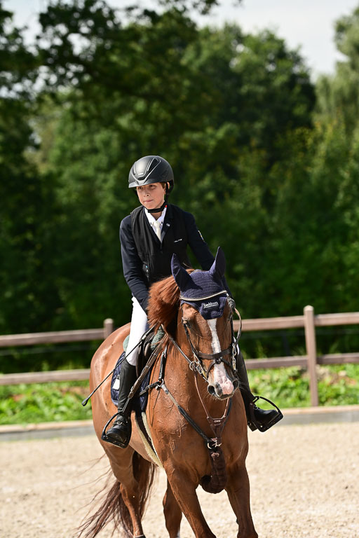 Klein Offenseth  - Hengststation Hell | 26072025 M+ Springen _118 