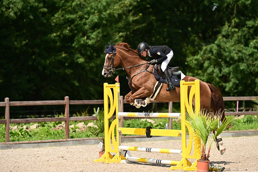 Klein Offenseth  - Hengststation Hell | 26072025 M+ Springen _126 