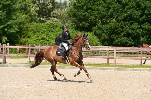 Klein Offenseth  - Hengststation Hell | 26072025 M+ Springen _127 