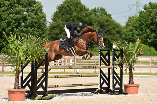 Klein Offenseth  - Hengststation Hell | 26072025 M+ Springen _128 